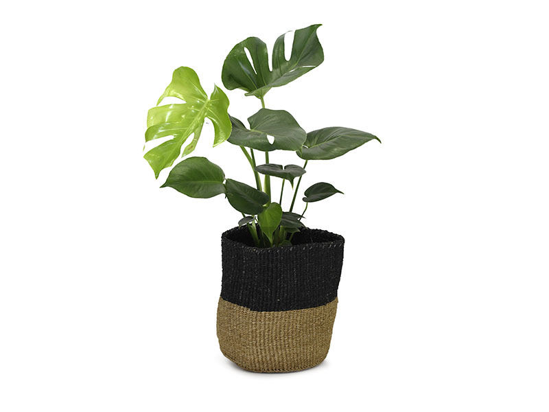 Kenyan Planter Basket - Natural #1